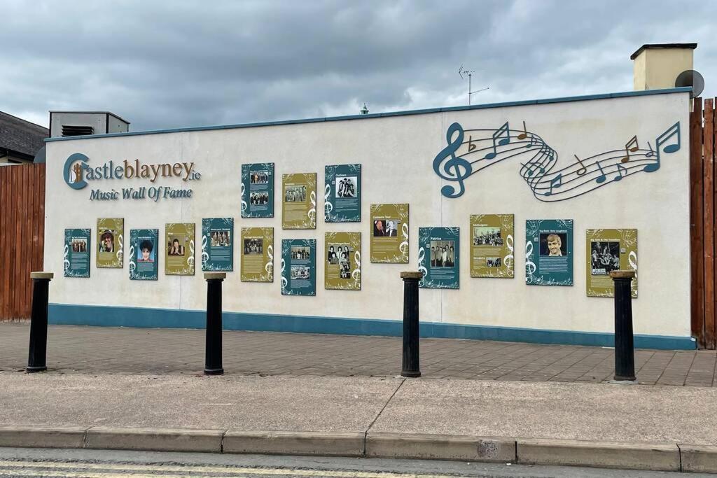 Vila Glenmount Castleblayney Exteriér fotografie