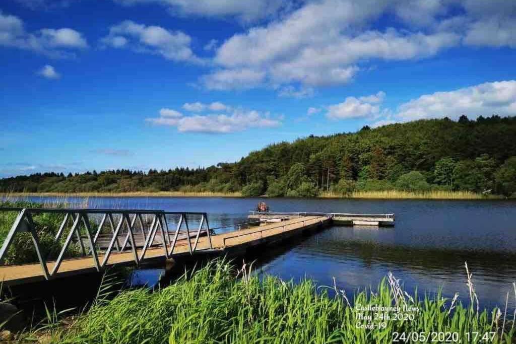 Vila Glenmount Castleblayney Exteriér fotografie