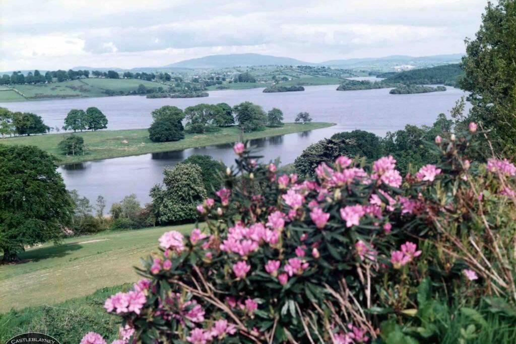 Vila Glenmount Castleblayney Exteriér fotografie
