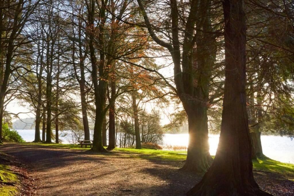 Vila Glenmount Castleblayney Exteriér fotografie