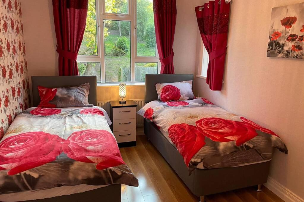 Vila Glenmount Castleblayney Exteriér fotografie